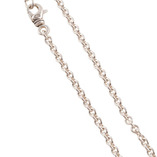 Ne Chain Necklace (30inch) #00561