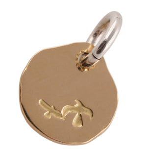 Eagle-in-Sun Gold Medallion (S)
