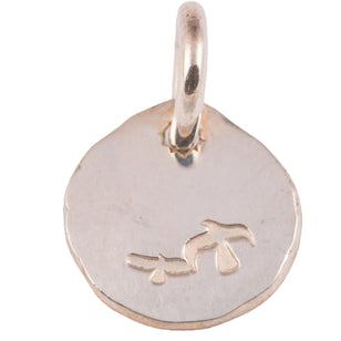 Eagle-in-Sun Silver Medallion Pendant (S)